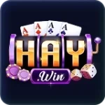 HAYWIN
